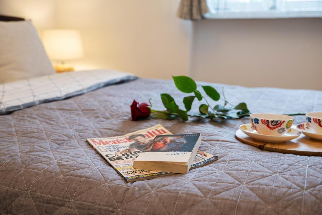 Central Bright Apartment คลูจ-นาโปกา ภายนอก รูปภาพ