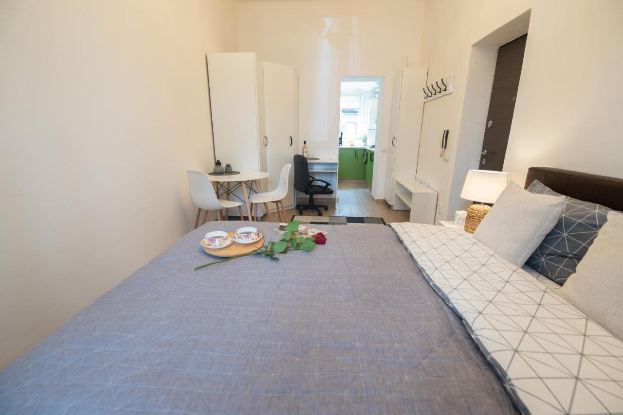 Central Bright Apartment คลูจ-นาโปกา ภายนอก รูปภาพ